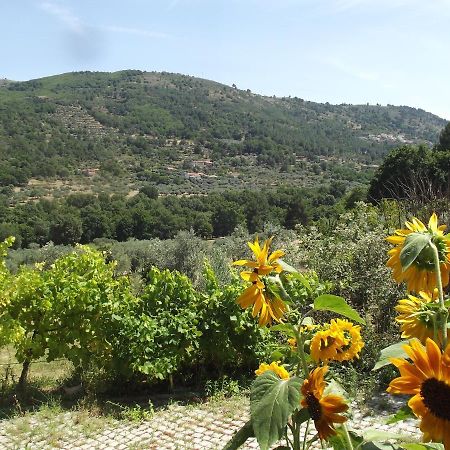 Quinta Do Pina Apartment Guarda Luaran gambar
