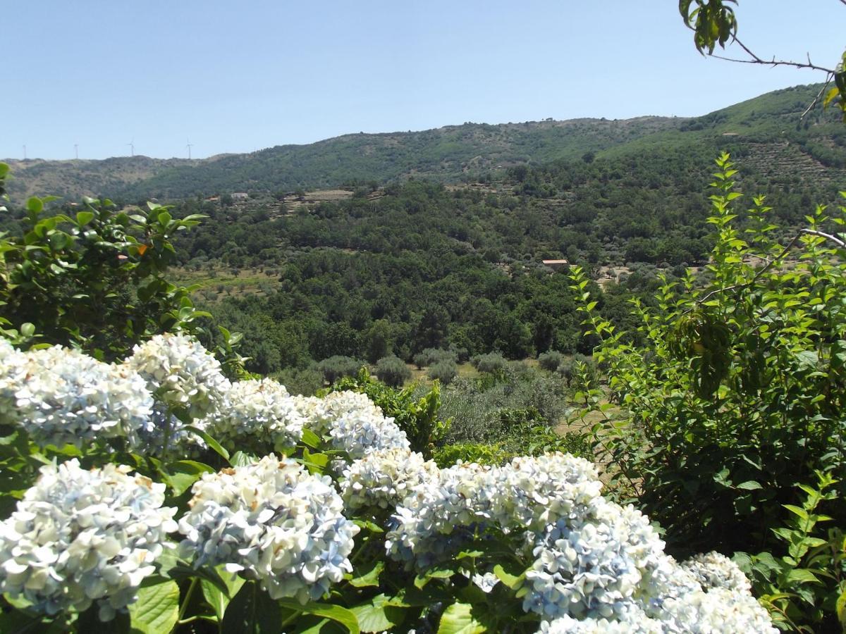 Quinta Do Pina Apartment Guarda Luaran gambar