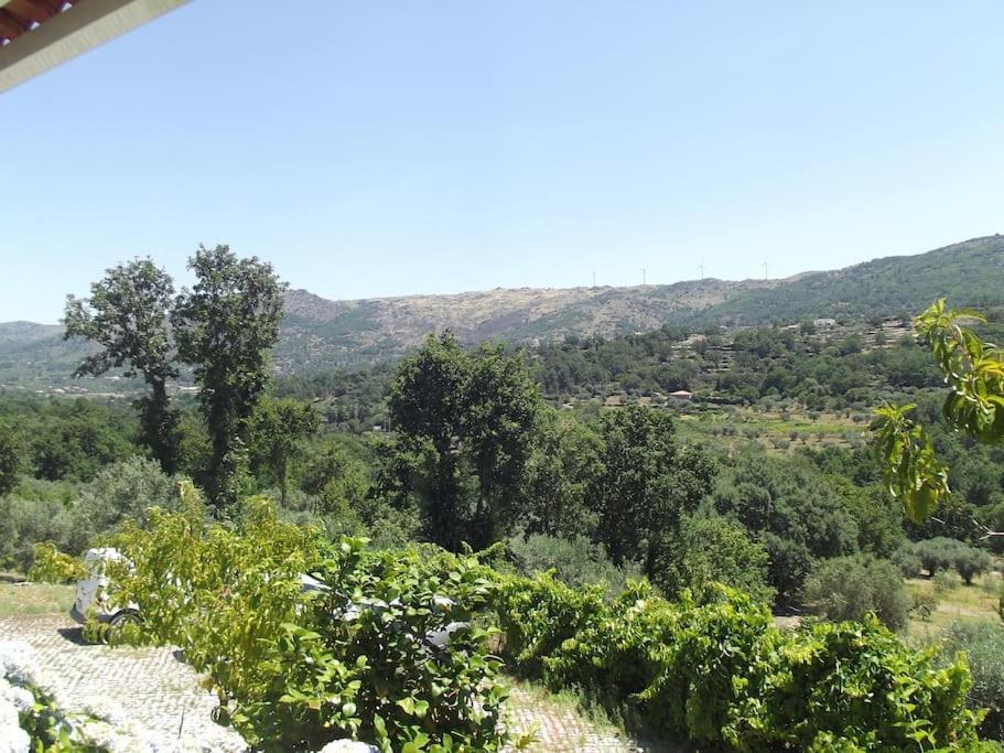 Quinta Do Pina Apartment Guarda Luaran gambar